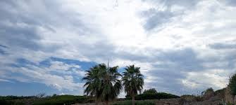 Meteo in Puglia: rapido fronte mercoledì, poi pressione in aumento ma tempo poco soleggiato fino a Natale