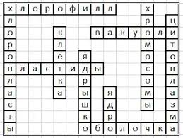 пятый класс составить кроссворд по биологии 5 класс с вопросами и ответами Krossvord Stroenie Kletki