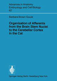 If a nerve has sensory and motor capabilities, it will be attached. Organization Of Afferents From The Brain Stem Nuclei To The Cerebellar Cortex In The Cat Advances In Anatomy Embryology And Cell Biology Book 62 English Edition Ebook Brown Gould B Amazon De Kindle Shop