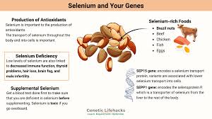 Image result for Selenium