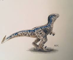 Pin By Tristan Cutsforth On Rajz Velociraptor Drawing Blue Jurassic World Dinosaur Pictures