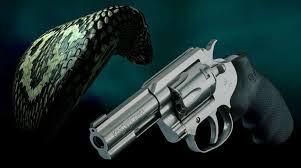 Image result for Dark Green 1994 Colt