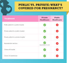 Public Or Private Hospital For Giving Birth Health Insurance Comparison Health Insurance Comparison Buy Health Insurance Health Care