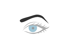The eyebrows grow on the brow bone which is just above the eyes. How To Draw An Eyebrow 5 Steps With Pictures Wikihow