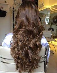 Ash Brown Hair With Chestnut Highlights Bored Of The Standard And Burgundy Brown Hair Shades Well Ash Brown Is Hair Styles Chestnut Brown Hair Burgundy Hair