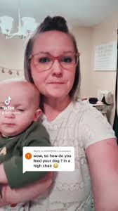 High Chair Feeding Golden Retriever