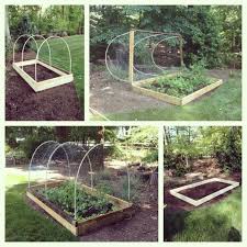 Diy Garden Barrier Diy Deer Proof Veggie Garden The Great Outdoors Deer Resistant Garden Veggie Garden Backyard Garden Landscape