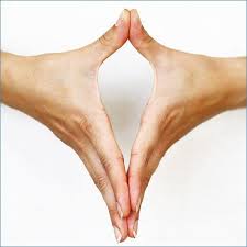 Les Mudras La Gestuelle Sacree Pour Eveiller Le Corps En 2020 Yoga Yoga Pour Les Nuls Le Corps