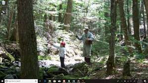 Living all his life on the plain, a person is unlikely to have an idea of the mountains. 7 Amazing Live Wallpapers For Windows 10 To Transform Your Desktop