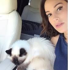 Vajna tímea (született palácsik tímea, miskolc, 1982. Vajna Timea Baratnoje Lehet A Haza Uj Udvoskeje