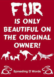 Resources Animal Rights Animal Cruelty Words