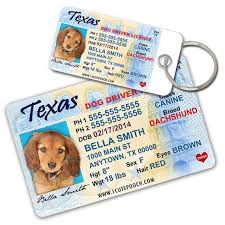 No Need For Drivers Ed Your Pet Can Now Wear His Or Her Very Own Driver License Dog Id Tag Or Cat Tag You Get Tw Dog Tags Pet