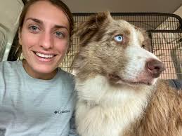 House and Pet Sitting Services in Townsville for the Holidays