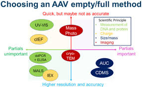 Image result for Gold 1996 AAV