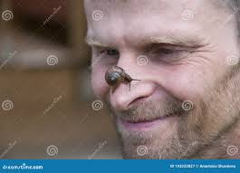 Porträt Eines Mannes Mit Einer Schnecke Auf Der Nase. Lustiger Moment.  Lustiges Gesicht Eines Mannes, Der Eine Schnecke Auf Seiner Stockbild