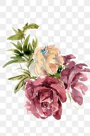 سكرابز خواتم Png المتجهات Psd قصاصة فنية تحميل مجاني Pngtree