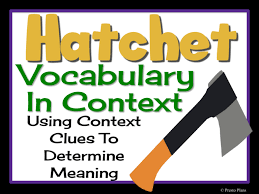 Hatchet Vocabulary In Context