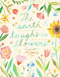 Wildflower sayings wildflower poem life quotes with flowers cute flower quotes daisy flower quotes summer flower quotes poems about wildflowers short flower sayings flower child quotes wild quotes life is like a flower quote funny flower quotes flowers grow quotes. 170 Wildflower Quotes Ideas Quotes Wildflower Quotes Flower Quotes