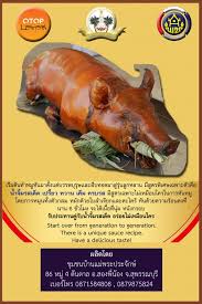 หมูหันภาษาอังกฤษ หมูหันภาษาไทย หมูหันความหมาย dictionary หมูหันแปลว่า หมูหันคำแปล à¸«à¸¡ à¸« à¸™ à¸š à¸²à¸™à¹à¸¡ à¸žà¸£à¸°à¸›à¸£à¸°à¸ˆ à¸à¸© à¸ªà¸³à¸™ à¸à¸‡à¸²à¸™à¸ž à¸'à¸™à¸²à¸Š à¸¡à¸Šà¸™à¸­à¸³à¹€à¸ à¸­à¸ªà¸­à¸‡à¸ž à¸™ à¸­à¸‡