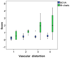 pathophysiological correlations between fundus fluorescein