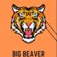 Big Beaver Falls Education Foundation "Tiger Trot" event image