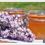 Gelee De Prunelles Sauvages Cuisine De Tous Les Jours Gelee Recette Gelee De Pommes Confiture