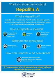Image result for hepatitis symptoms