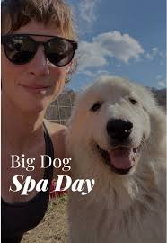 Pyrenees Salon Spa 9388685