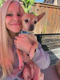 Mornings with fostered 6-8 yr old 7lb dog