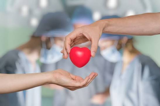 Mais de 49 mil brasileiros aguardam transplante e Setembro Verde reforça importância da doação