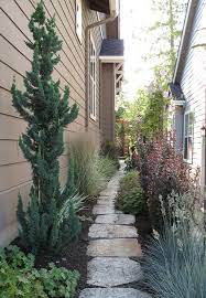 This extremely narrow evergreen tree is a truly amazing addition to any compact garden space. Narrow Trees For Narrow Gardens Garten Seattle Von Le Jardinet Houzz