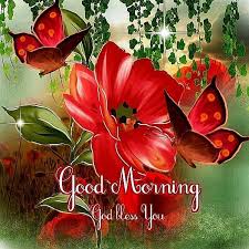 Good Morning God Bless You Flowers Good Morning Images Good Morning Greetings Morning Images