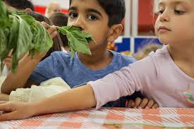 Troy School District added a new photo.