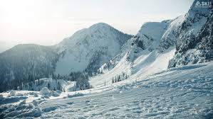 23 Mountain Backgrounds Will Make You The Hero Zoom Needs This image, which kids will definitely get a kick out of, may be too close to reality. 23 mountain backgrounds will make you