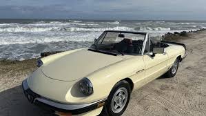 Image result for Avorio 1984 Alfa-Romeo