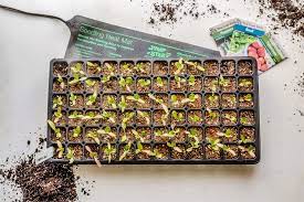 Crafters looking to spice up the craft can easily add essential oils to this project for some added aromatherapy. Seedling Heat Mats Really Work West Coast Seeds