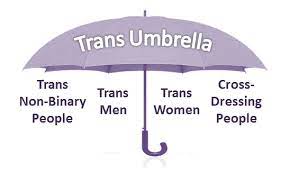 For some people, nonbinary is as specific as they want to get about labeling their gender. Lgbt Foundation Non Binary Inclusion