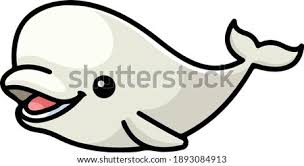 Alaska department of fish and game p.o. Teal Beluga Whales Fabric Beluga Whale Clipart Stunning Free Transparent Png Clipart Images Free Download