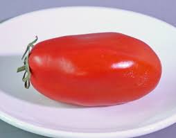 Meine lieblingstomate ist die torino tomate. Datei Tomatensorte Torino 02 Fcm Jpg Wikipedia