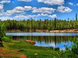 Alamo lake, apache lake, big lake, canyon lake, chevelon canyon lake, lake pleasant, roosevelt lake and saguaro lake are the most popular places for fishing in arizona, offering anglers the chance to. 5 Top Fishing Lakes In Eastern Arizona
