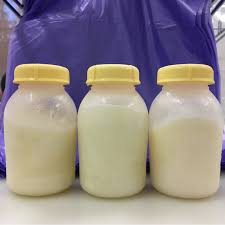 This wonderful milk is now becoming popular all over the world. Camel Milk Jariboti