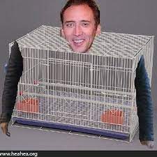 Maybe you would like to learn more about one of these? Nicolas Cage In A Nicolas Cage Cage Pandamiksik Twitter