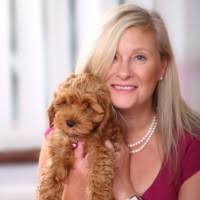 Gill Chartered Email & Phone Number