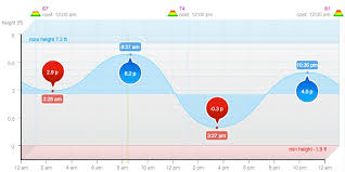 Irenes Data Visualization Class Tides4fishing Good