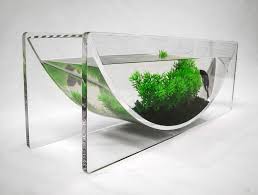 How To Create Modern Fish Tanks By Clare Rich Modern Fish Tank Fish Tank Betta