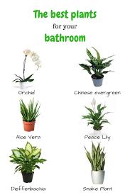Contact Support Plants House Plants Decor Cool Plants