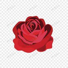 Rose Bright Roses Flowers Roses Cartoon Roses Beautiful Roses Beautiful Roses New Year Cartoon Pink Watercolor Flower Web App Design