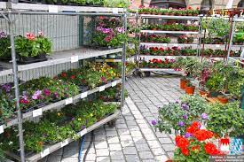 Important information mono rates (black + white)* display (column 45 mm width) 1/1 page (282x400 mm) €7.200,00 1/2 page (282x200 mm) €3.600,00 1/2 page (140x400 mm) €3.600,00 1/4 page (282x97mm. Veranstaltung Gartenmarkt Furth 30 04 2021 Bis 02 05 2021 Frankenradar