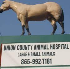 Our services and facilities are designed to assist in routine preventive care for young, healthy pets; Union County Animal Hospital Home Facebook