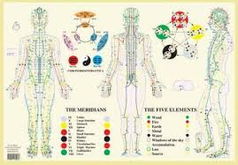 Details About Meridians Five Elements A2 By Jan Van